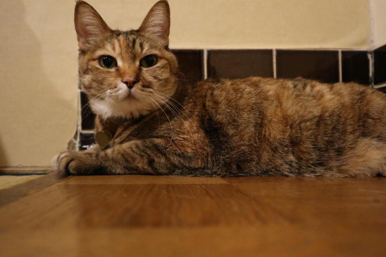 Hotel Daiki Ōsaka Extérieur photo